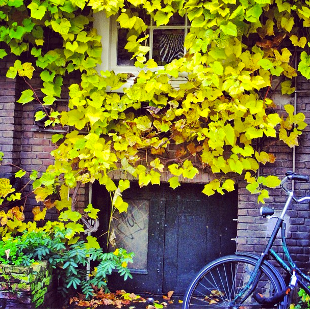 Bicycle on Singel, Amsterdam