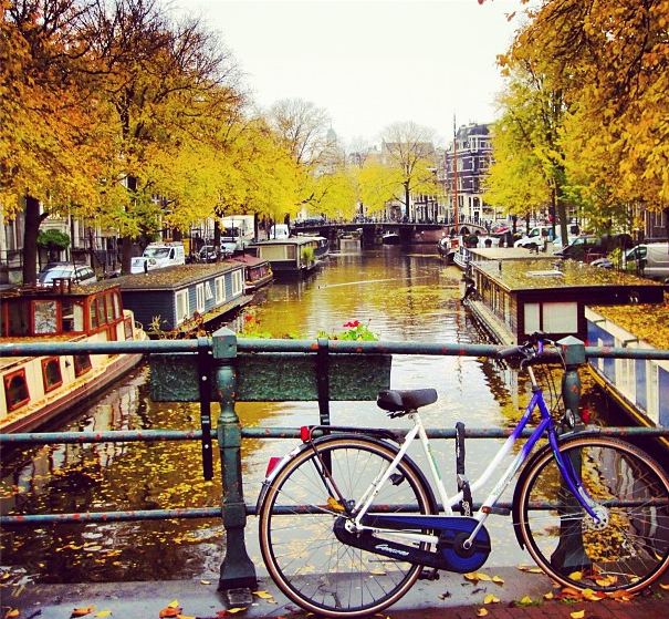 Falling Off Bicycles Instagram Amsterdam