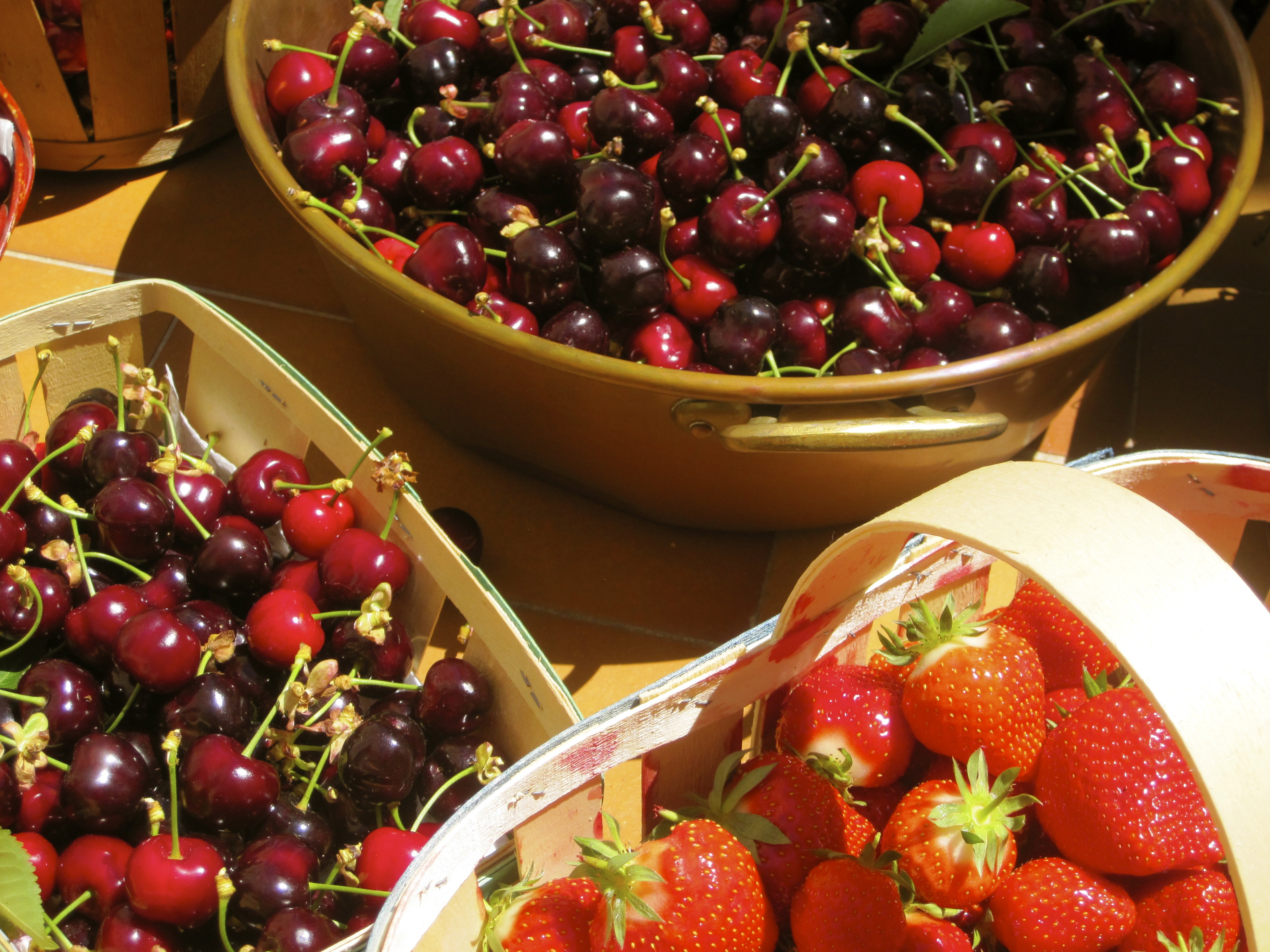 south of France, cherries, fruit