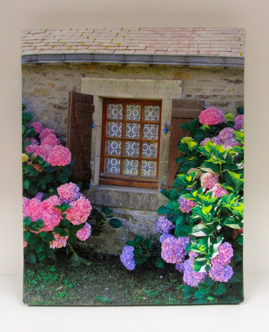 Brittany cottage, hydrangeas