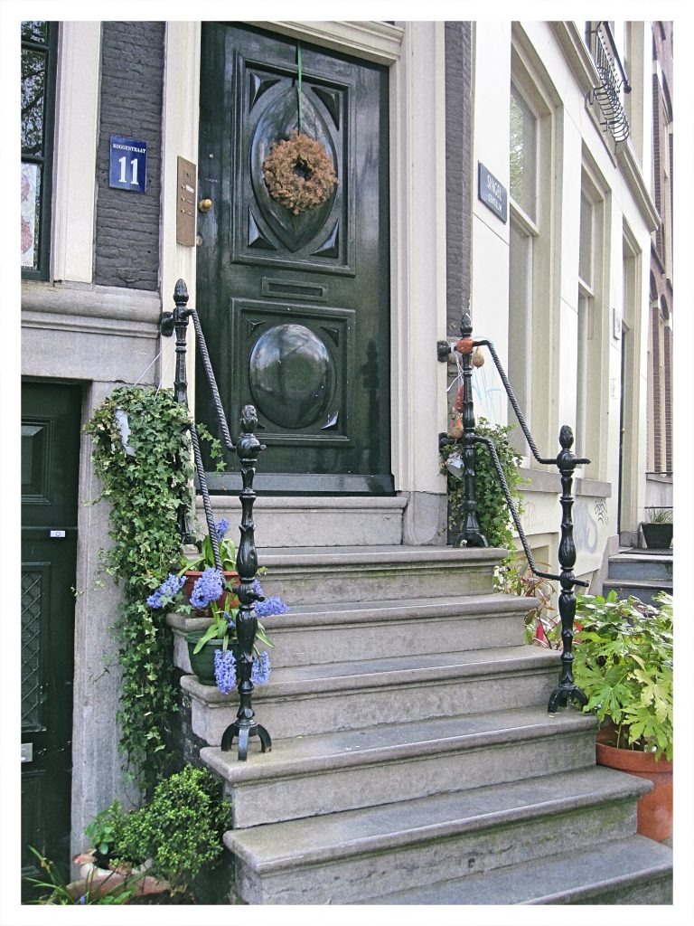 Amsterdam, hyacinths, Julia Willard, Falling Off Bicycles