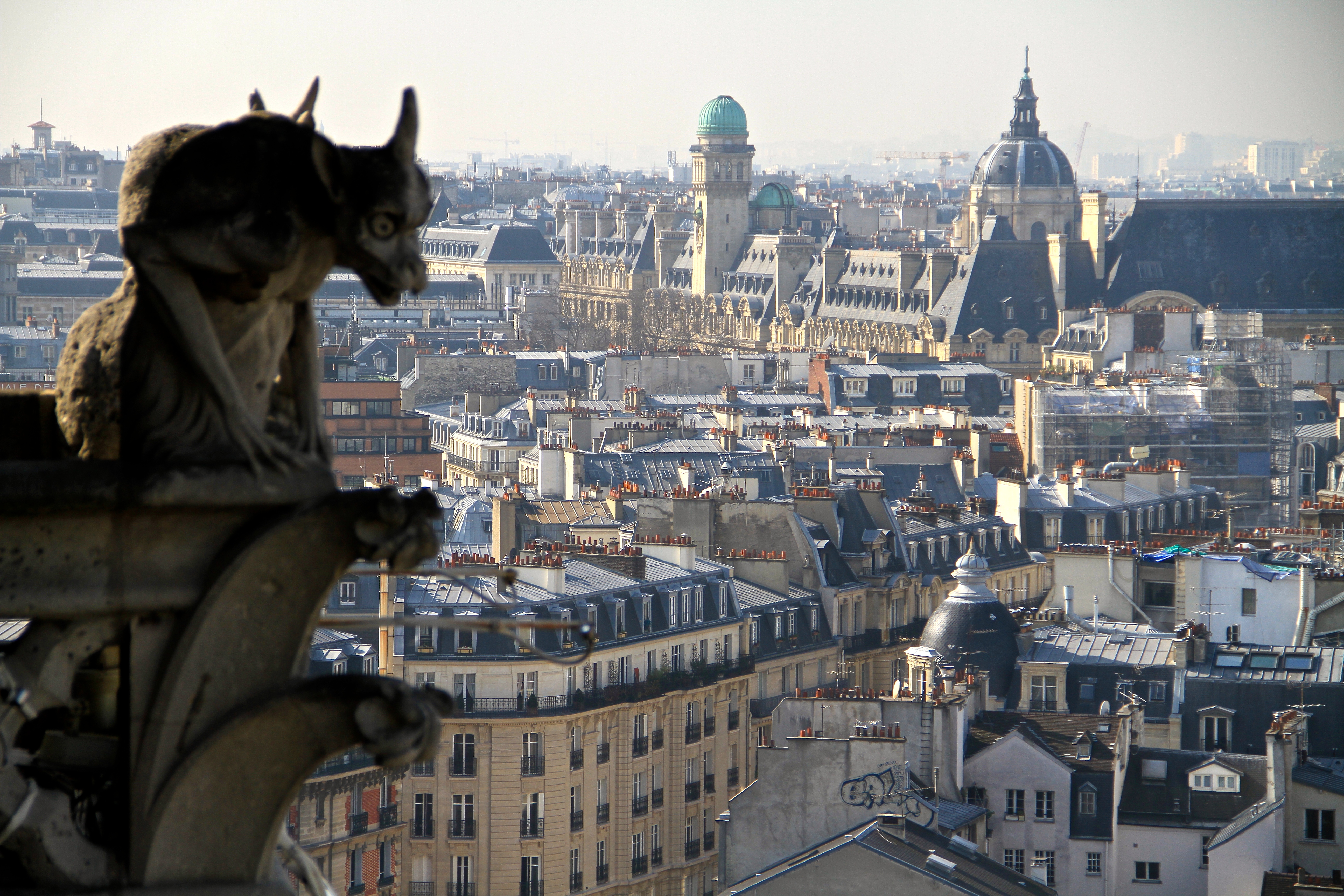 Paris Notre Dame Falling Off Bicycles