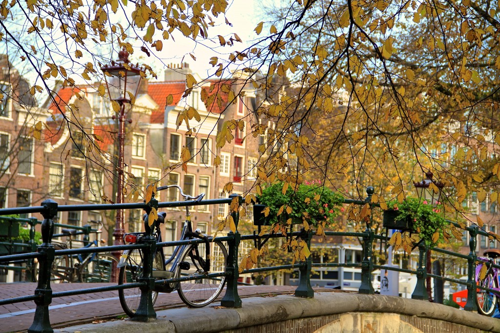 Falling Off Bicycles, Fall, Amsterdam, Netherlands