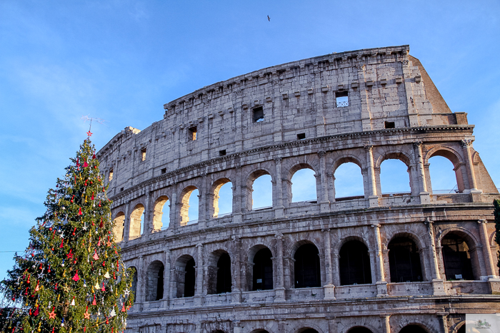 Julia Willard, Christmas in Rome, Falling Off Bicycles