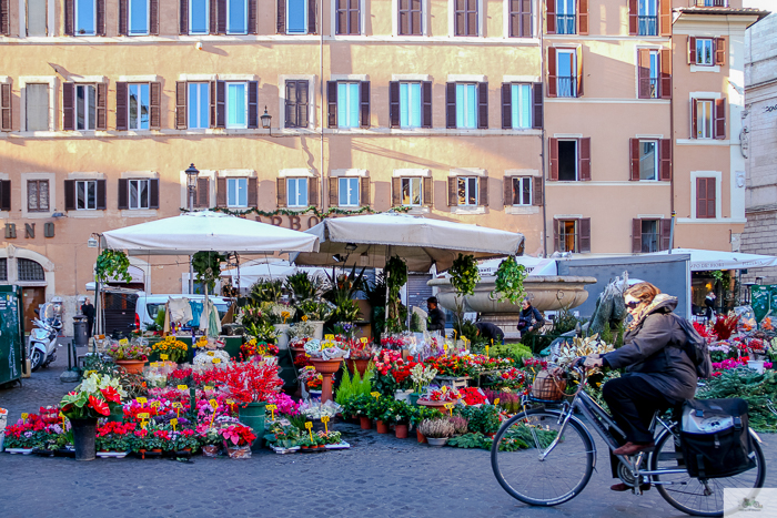 Julia Willard, Julie Willard, Falling Off Bicycles, Julia Arias, bike in France, American in Rome,, Christmas in Rome, cycle Rome