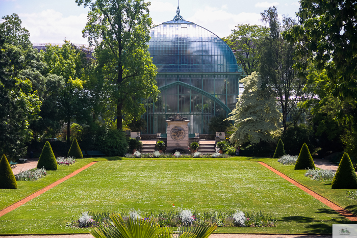 Julia Willard, Julie Willard, Falling Off Bicycles, 16th arrondissement, Serres d'Auteuil, botanical garden Paris, flowers, plants, Paris garden, garden