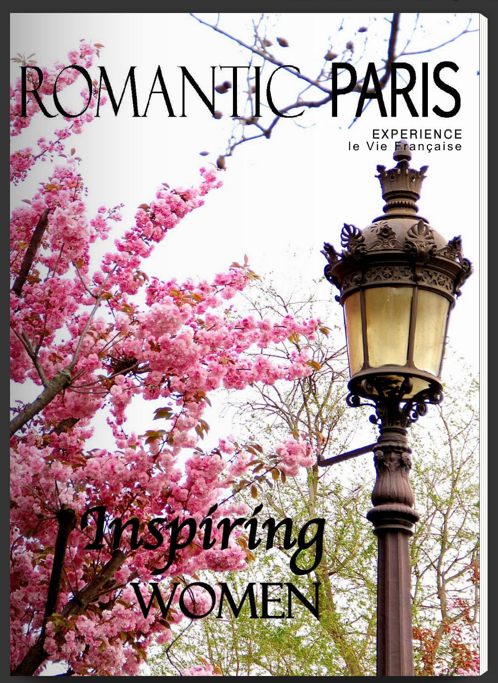 Romantic Paris Magazine, Falling Off Bicycles, Julia Willard