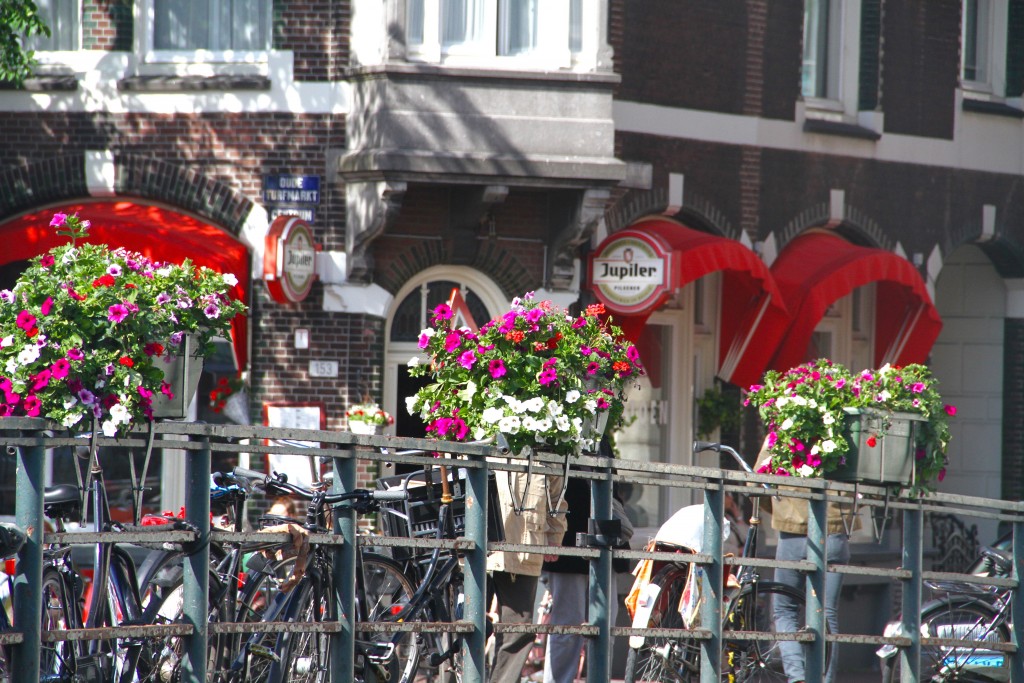 Julia Willard, Falling Off Bicycles, Amsterdam photography, bike photo