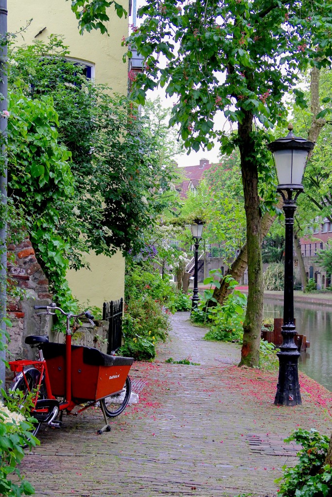 Utrecht, Netherlands, bike photo, Julia Willard, Falling Off Bicycles