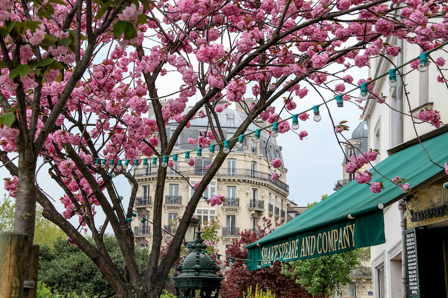 Shakespeare & Co. Paris, photo by Falling Off Bicycles, Julia Willard