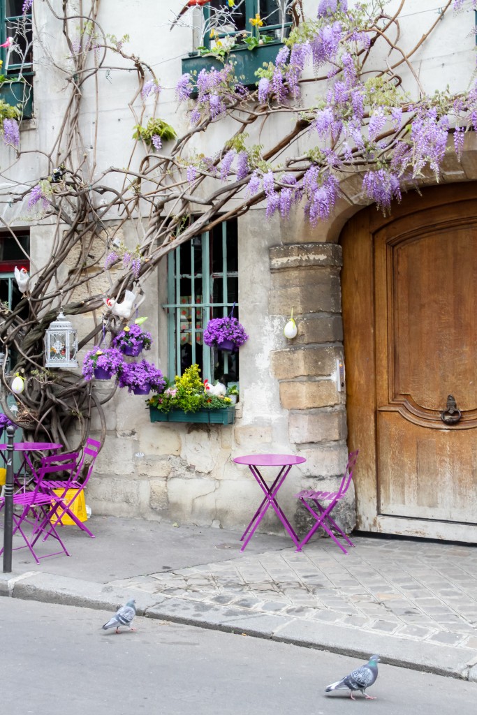 Rue Chanoinesse with wisteria in Paris, Julia Willard, Falling Off BIcycles