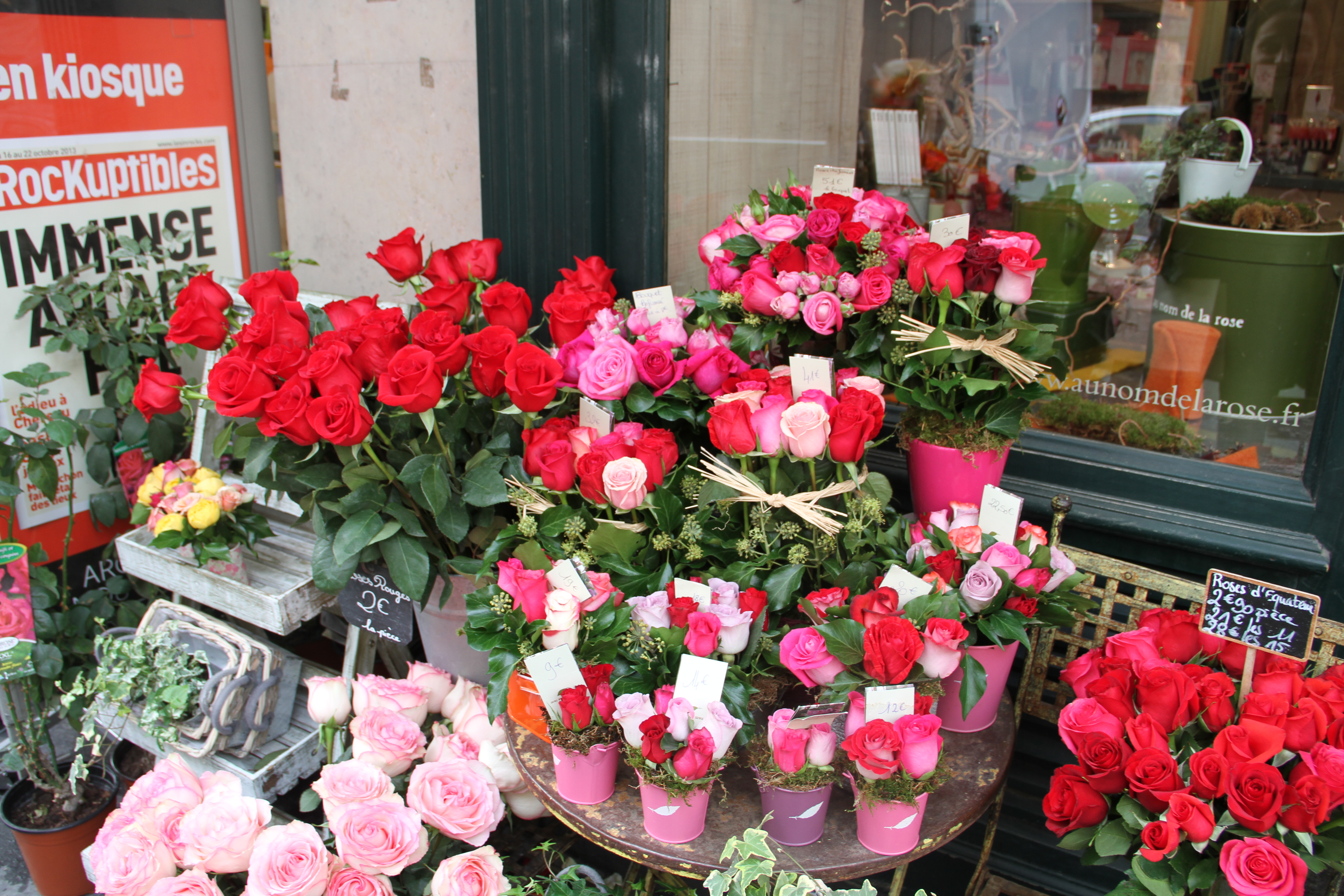 Falling Off Bicycles, Julia Willard, Julie Willard, Valentine's Day, roses, pink flowers, Paris, France, Paris photography