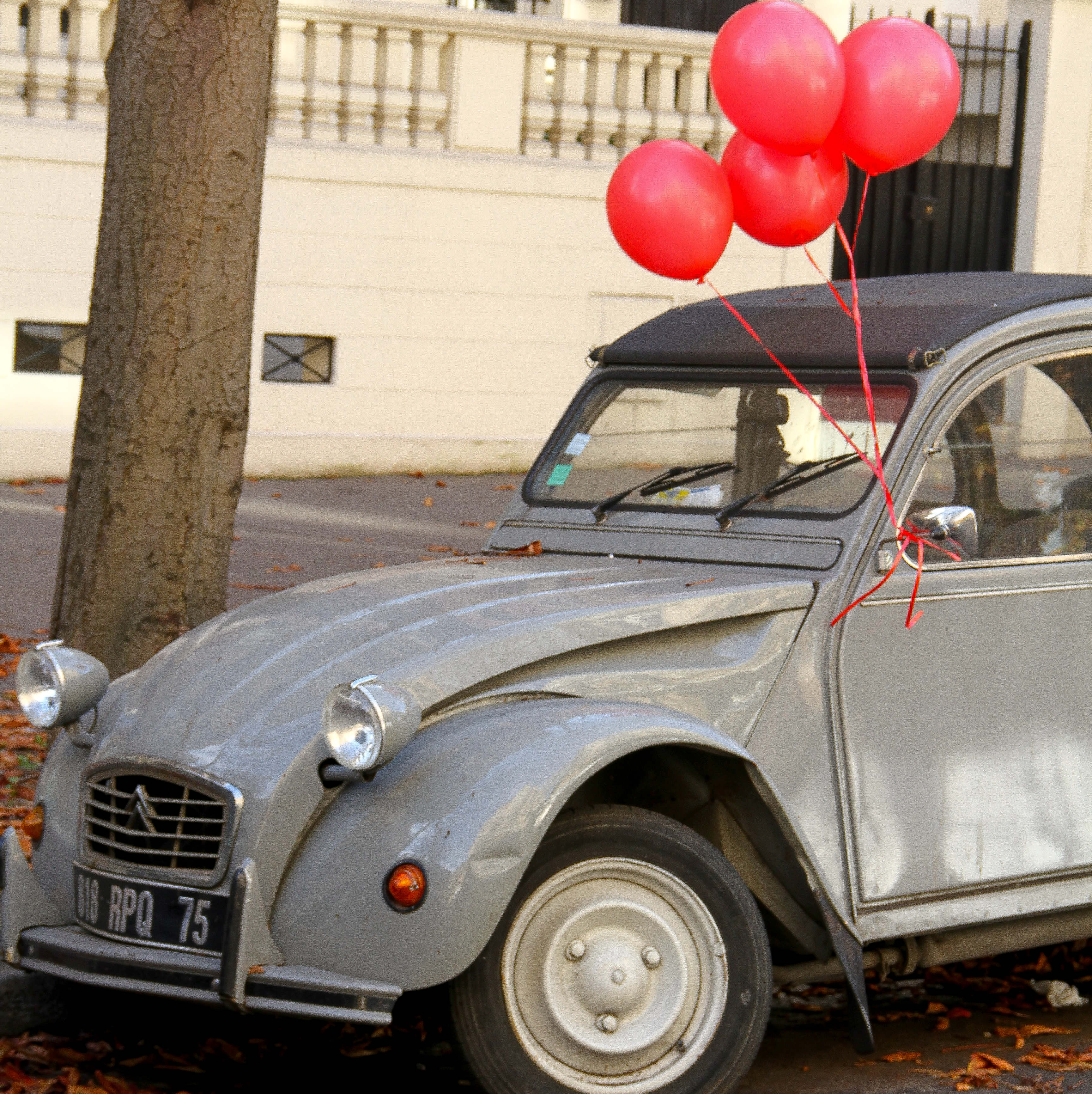 Falling Off Bicycles, Julia Willard, Julie Willard, Valentine's Day, red balloon project, Paris, France, Paris photography