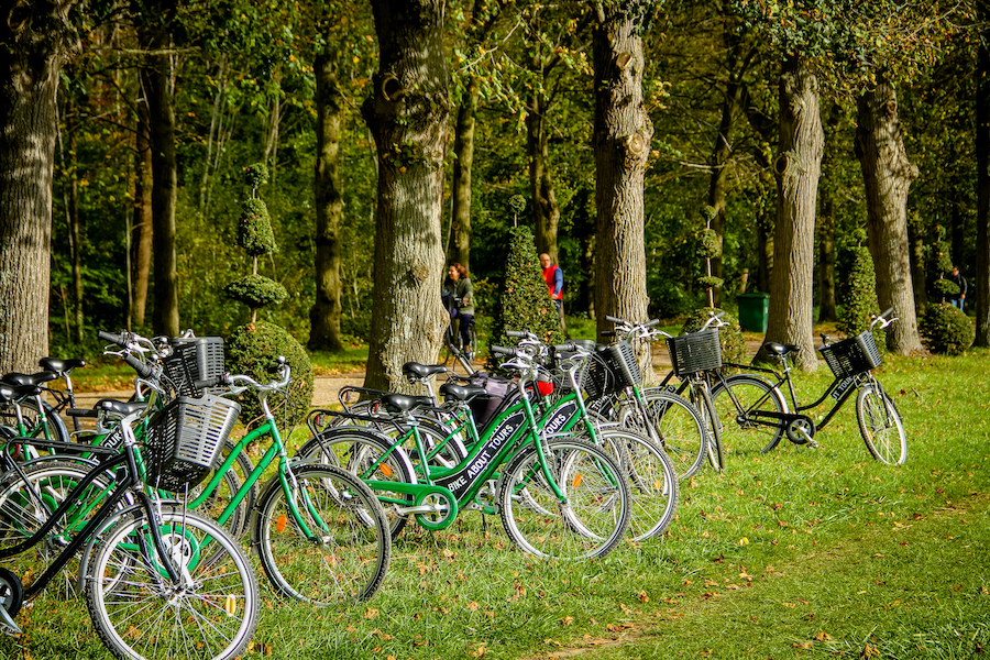 Many bikes parked in a field 