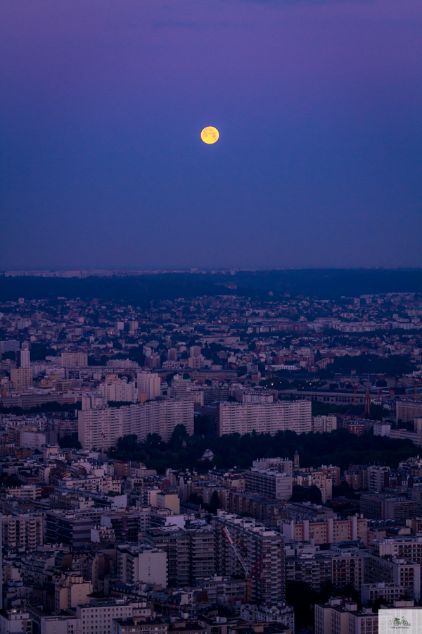 Tour Montparnasse, Julia Willard, Falling Off Bicycles, view over Paris, best view in Paris, Montparnasse observation deck