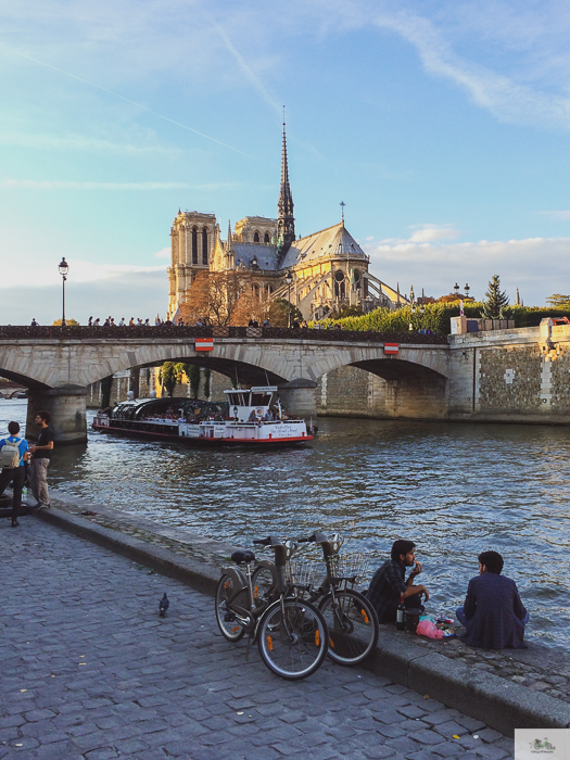 ride a bike in Paris, cycle Paris, bike rental Paris, Julia Willard, Julie Willard, Julia Arias, Falling Off Bicycles