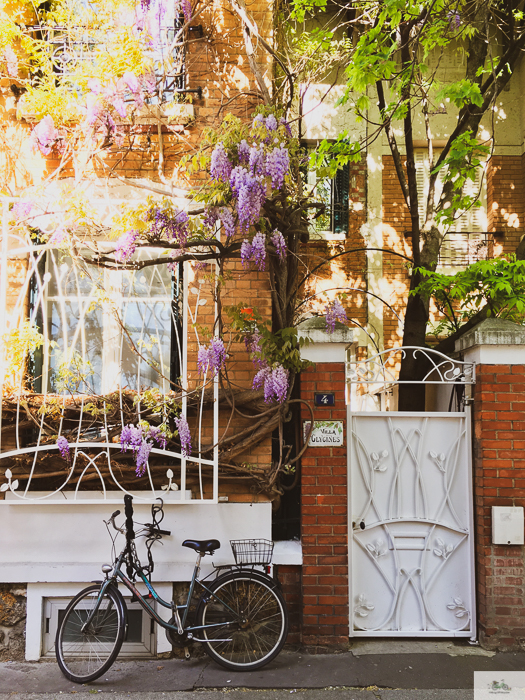 ride a bike in Paris, cycle Paris, bike rental Paris, Julia Willard, Julie Willard, Julia Arias, Falling Off Bicycles