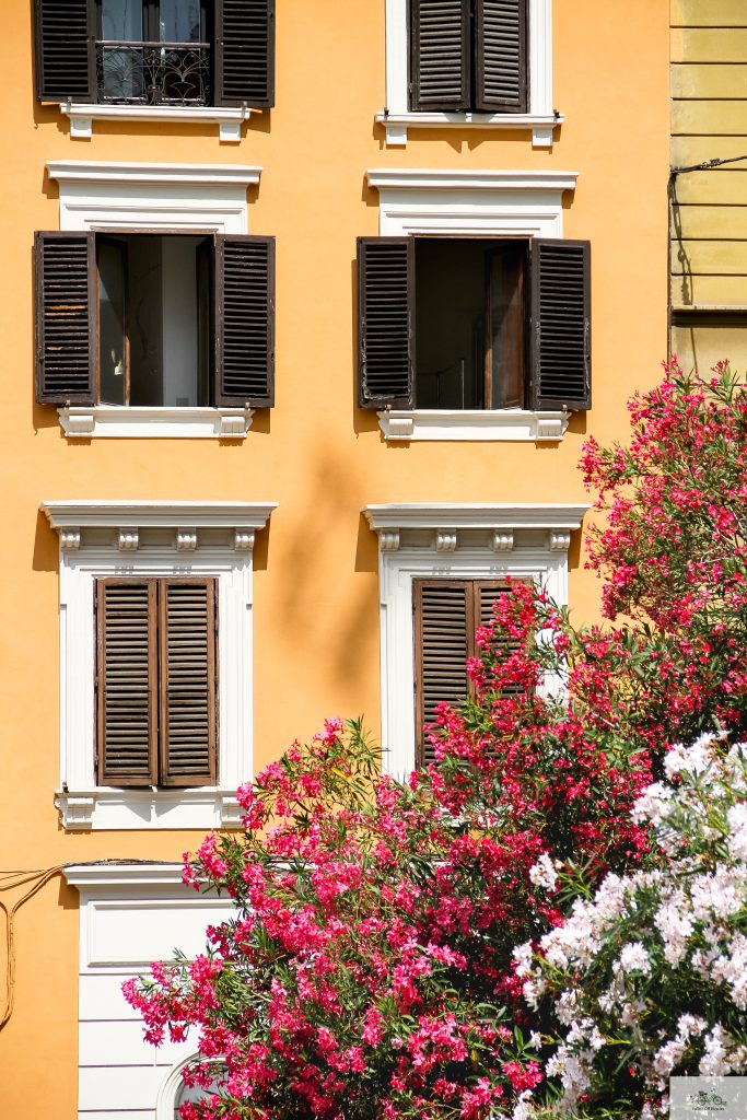 Julia Willard, Rome, Falling Off Bicycles, Julie Willard, Italy, shutters, colors of Rome, Roma