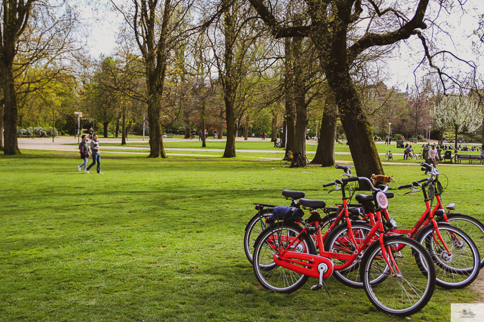 ride a bike in Amsterdam, cycle Amsterdam, bike rental Amsterdam, Julia Willard, Julie Willard, Julia Arias, Falling Off Bicycles