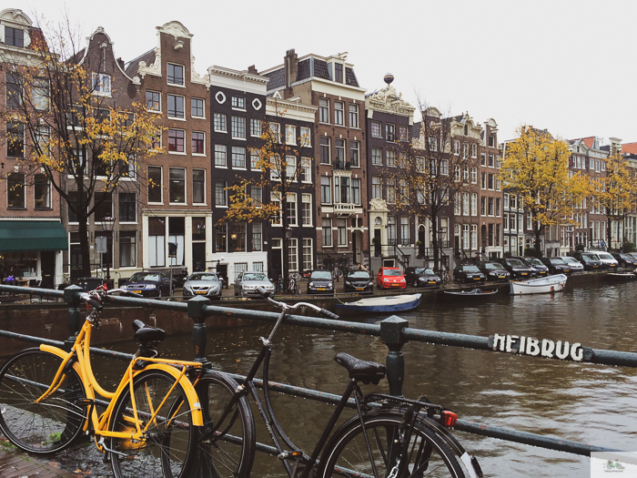 ride a bike in Amsterdam, cycle Amsterdam, bike rental Amsterdam, Julia Willard, Julie Willard, Julia Arias, Falling Off Bicycles