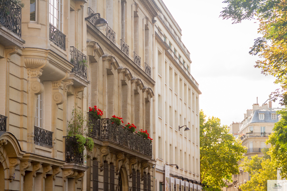 Julia Willard, Falling Off Bicycles, Paris photographer, Paris, France, golden hour, autumn in Paris, Fall in Paris