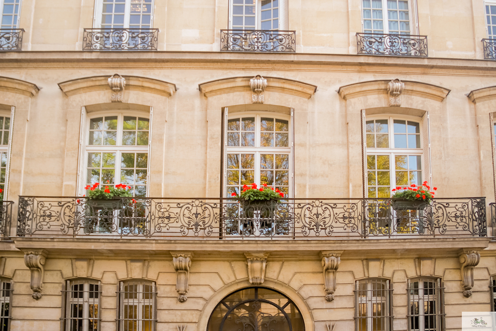 Julia Willard, Falling Off Bicycles, Paris photographer, Paris, France, golden hour, autumn in Paris, Fall in Paris