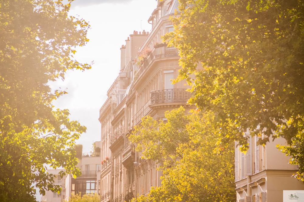 Julia Willard, Falling Off Bicycles, Paris photographer, Paris, France, golden hour, autumn in Paris, Fall in Paris