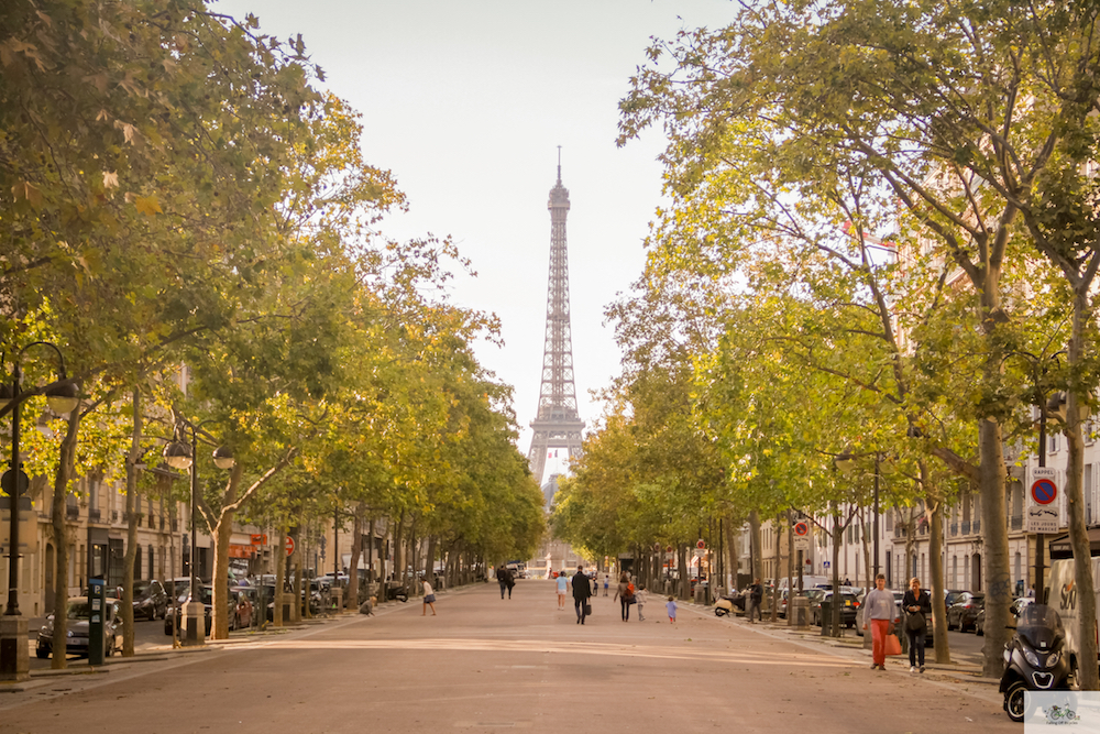 Julia Willard, Falling Off Bicycles, Paris photographer, Paris, France, golden hour, Eiffel Tower, autumn in Paris, Fall in Paris