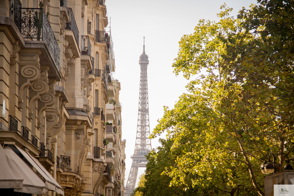 Julia Willard, Falling Off Bicycles, Paris photographer, Paris, France, golden hour, Eiffel Tower, autumn in Paris, Fall in Paris