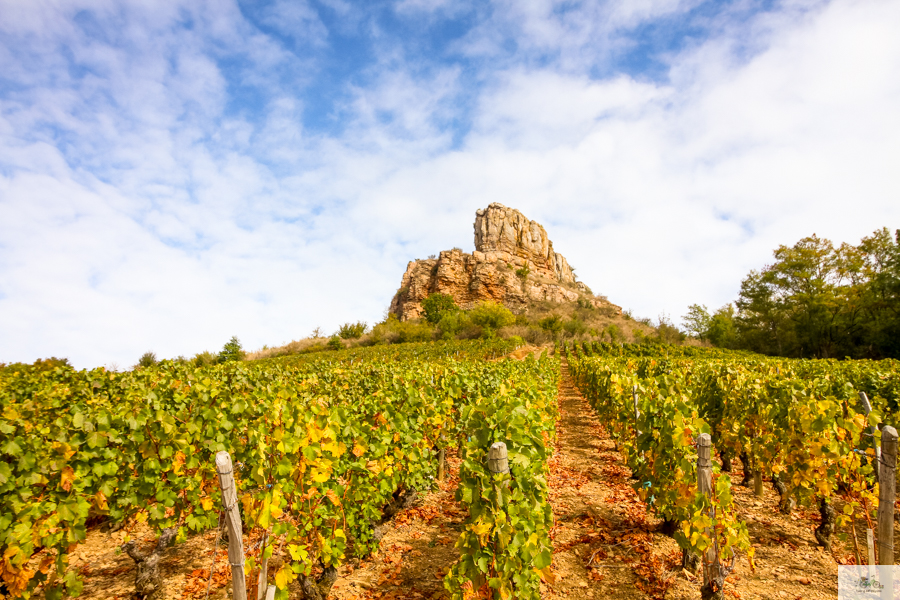 Julia Willard, Julie Willard, Falling Off Bicycles, Bourgogne, Burgundy, wine travel, Solutré-Pouilly, French wine country, Solutré Rock, Roche de Solutré