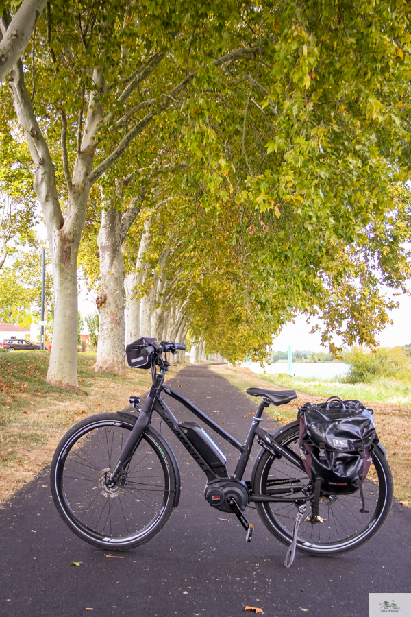 Julia Willard, Julie Willard, Falling Off Bicycles, Bourgogne, Burgundy, wine travel, Solutré-Pouilly, French wine country, e bike 71 Macon