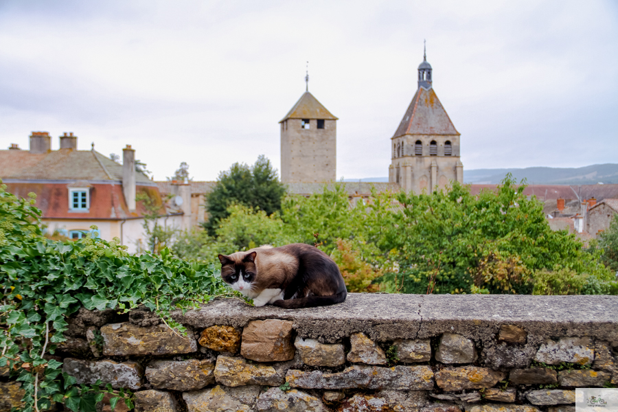 Julia Willard, Julie Willard, Falling Off Bicycles, Cluny Abbey, France, Burgundy, Benedictine 