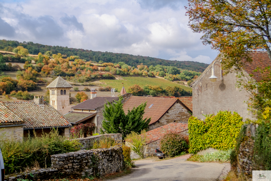 Julia Willard, Julie Willard, Falling Off Bicycles, Bourgogne, Burgundy, wine travel, Blanot, French wine country