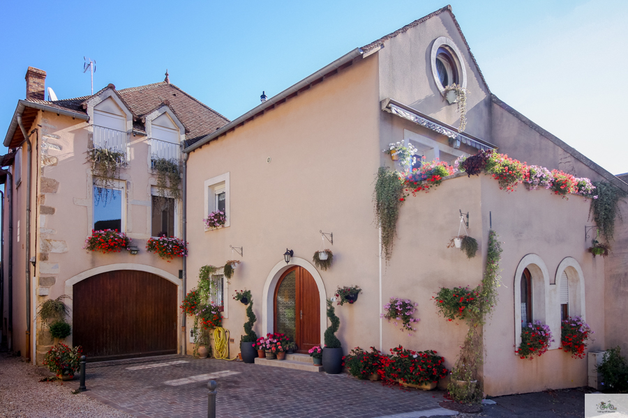 Volnay, France, Julia Willard, Falling Off Bicycles, wine region, wine in France, Bourgogne