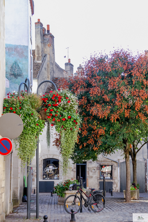 Beaune, Active Tours Bourgogne, Julia Willard, Falling Off Bicycles