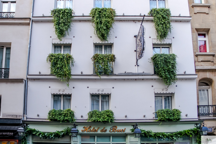 Julia Willard, Julie Willard, Falling Off Bicycles, Hotel de Buci, St. Germain des Prés, Christmas in Paris