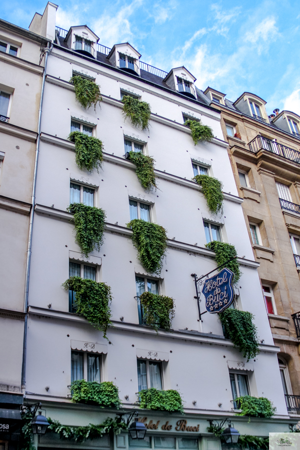 Julia Willard, Julie Willard, Falling Off Bicycles, Hotel de Buci, St. Germain des Prés, Christmas in Paris