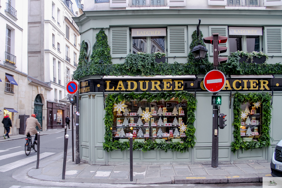 Julia Willard, Julie Willard, Falling Off Bicycles, Hotel de Buci, St. Germain des Prés, Christmas in Paris