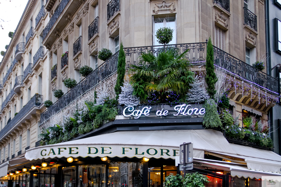 Julia Willard, Julie Willard, Falling Off Bicycles, Hotel de Buci, St. Germain des Prés, Christmas in Paris