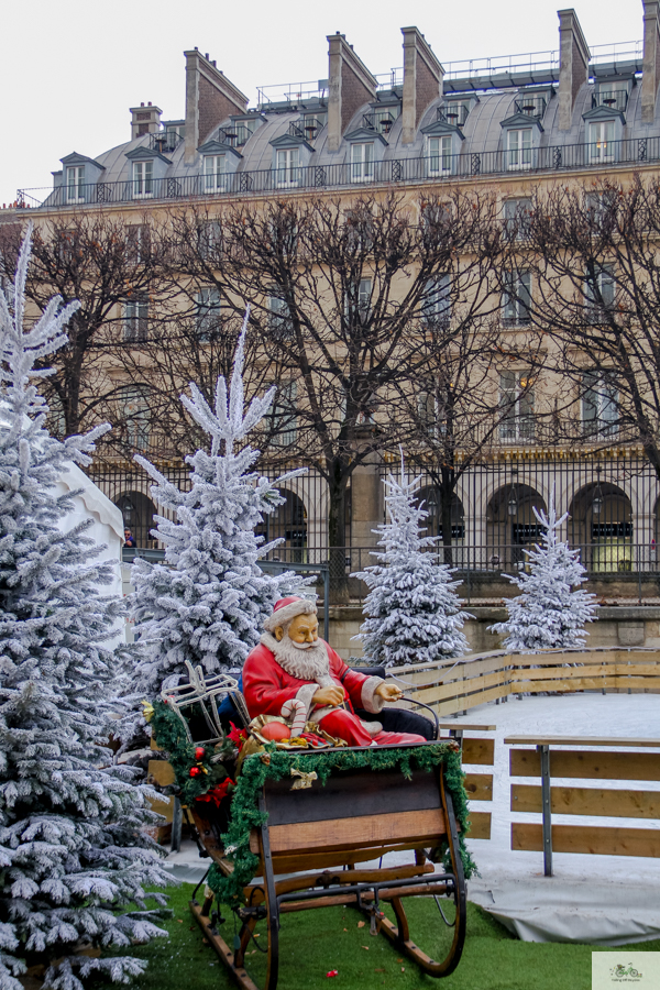 Julia Willard, Julie Willard, Falling Off Bicycles, Hotel de Buci, St. Germain des Prés, Christmas in Paris  