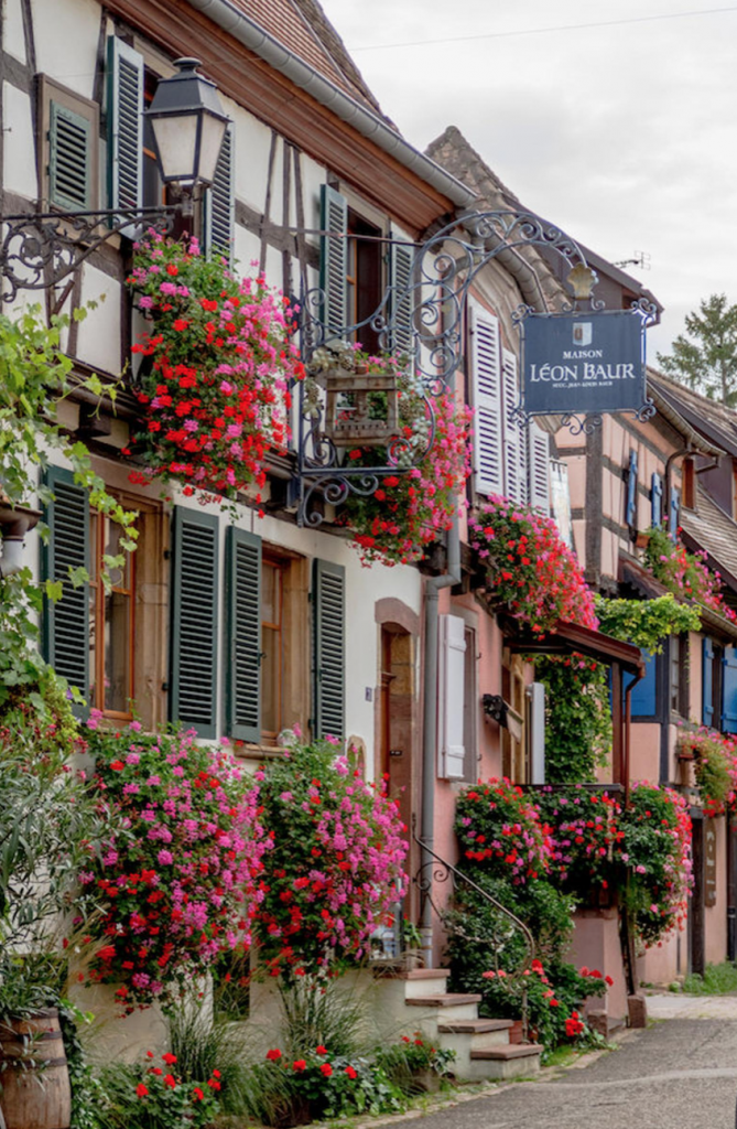 Julia Willard, Falling Off Bicycles, Alsace photo, Valentine photo