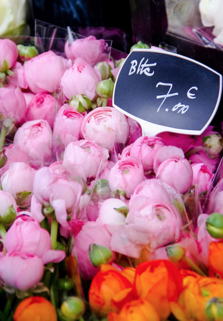 Julia Willard, Falling Off Bicycles, courtyard, France, ranunculus photo, France photography, bouquet of flowers