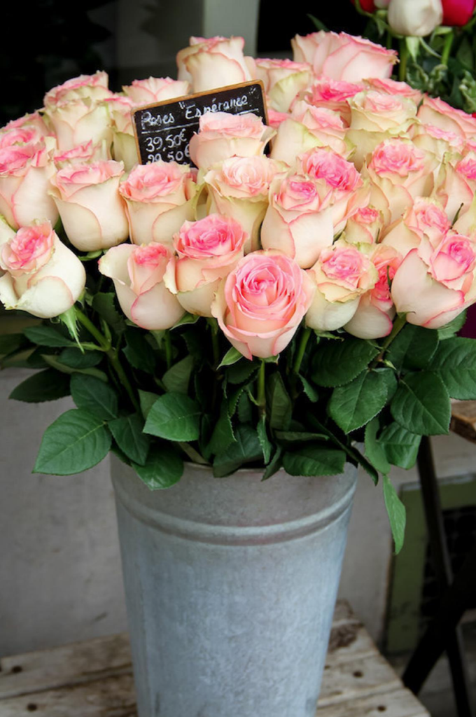 Julia Willard, Falling Off Bicycles, courtyard, France, rose photo, France photography, bouquet of flowers