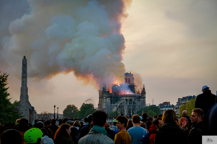 Notre Dame fire, Paris, France, Notre Dame cathedral, Julia Willard, Julie Willard, Julia Arias, Falling Off Bicycles