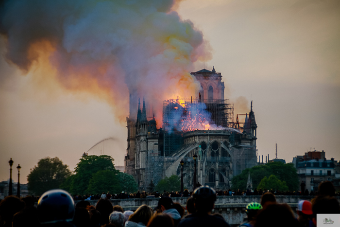 Notre Dame fire, Paris, France, Notre Dame cathedral, Julia Willard, Julie Willard, Julia Arias, Falling Off Bicycles