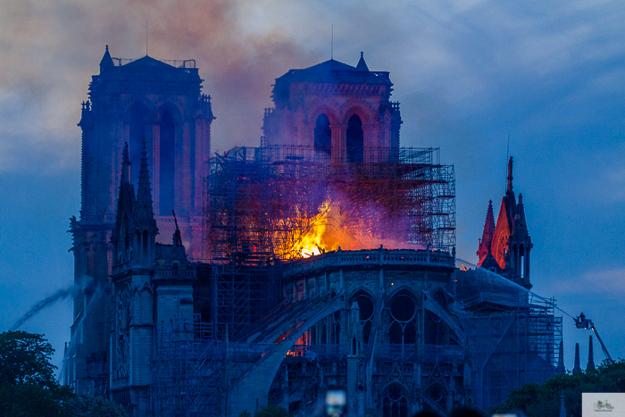 Notre Dame fire, Paris, France, Notre Dame cathedral, Julia Willard, Julie Willard, Julia Arias, Falling Off Bicycles