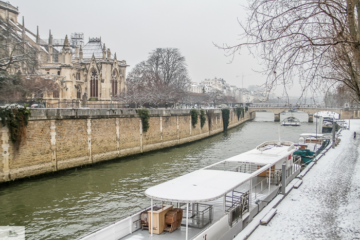 Julia Willard, Julie Willard, Julia Arias, spring in Paris, cherry blossoms, pink in Paris, Notre Dame Cathedral, April in Paris, what to do in Paris, Notre Dame, Paris, France