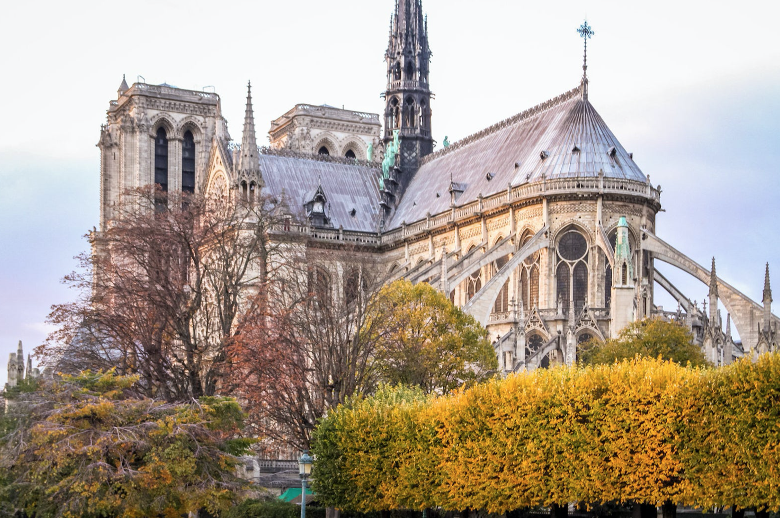 Julia Willard, Julie Willard, Julia Arias, spring in Paris, cherry blossoms, pink in Paris, Notre Dame Cathedral, April in Paris, what to do in Paris, Notre Dame, Paris, France