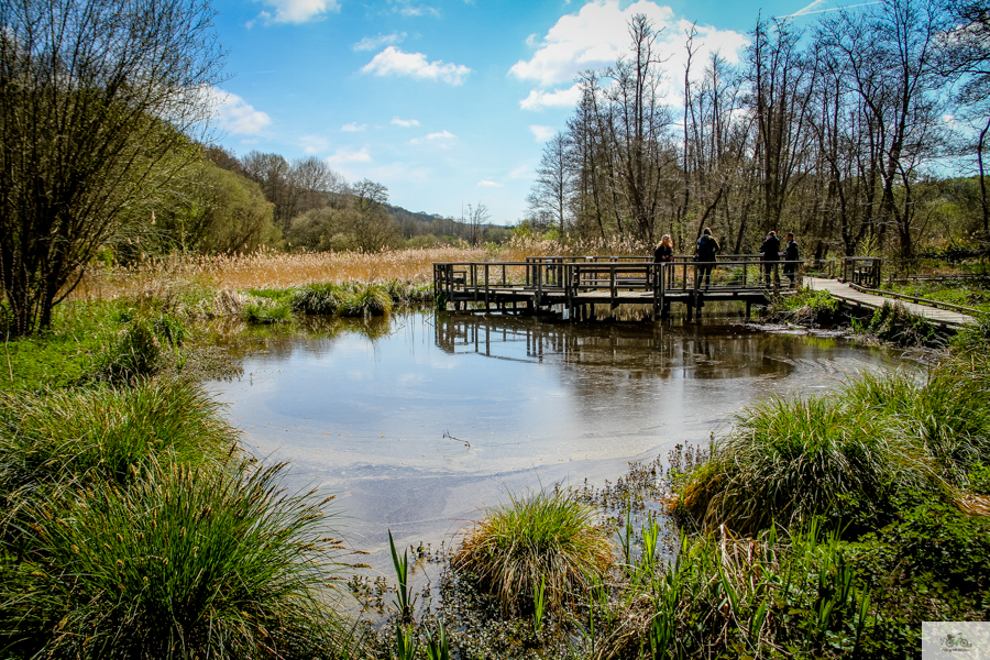 Marshes in Vallée de Chevreuse