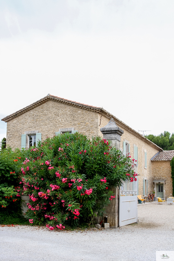 La Cour des Sens, luxury hotel Provence